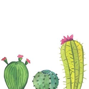 Meet your Posher, Cady